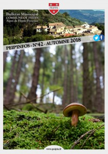 PEIPINFOS-42_Automne2018