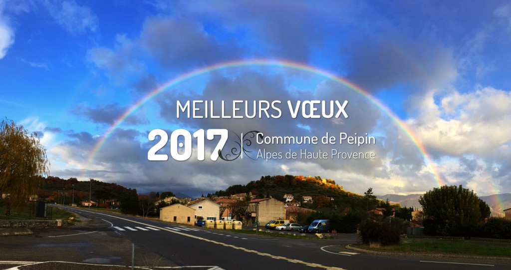 carte-de-voeux-2017