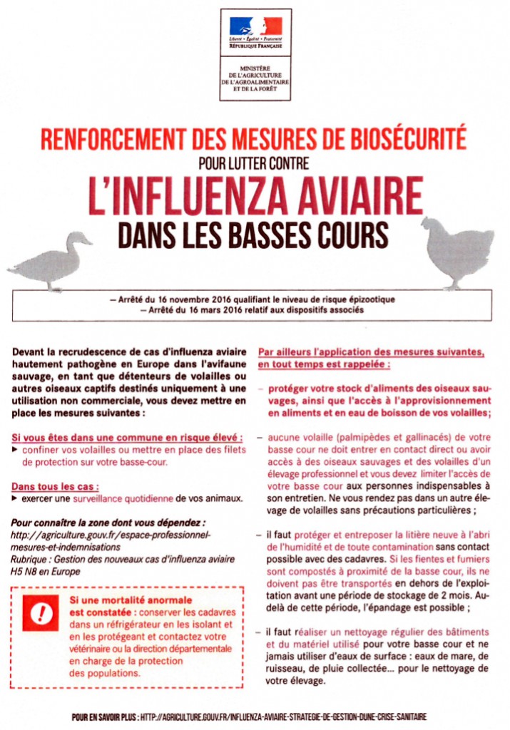 influenza-aviaire
